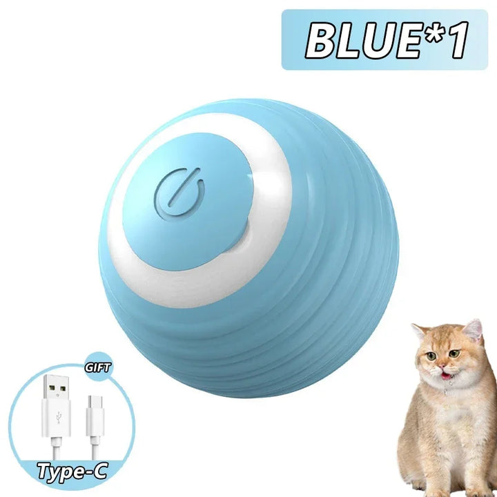 Spin Ball Pet Toys