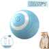 Spin Ball Pet Toys