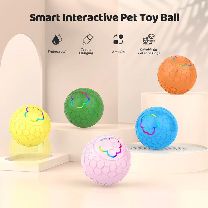 Pet Smart Dog Ball Toy Electric intelligent Remote