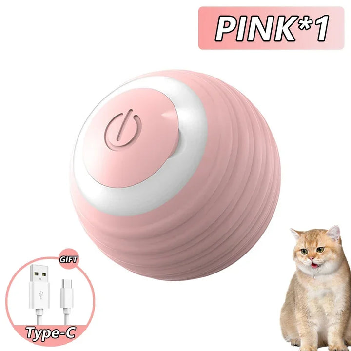 Spin Ball Pet Toys