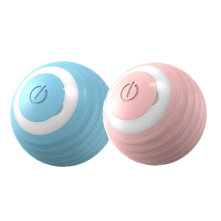 Spin Ball Pet Toys